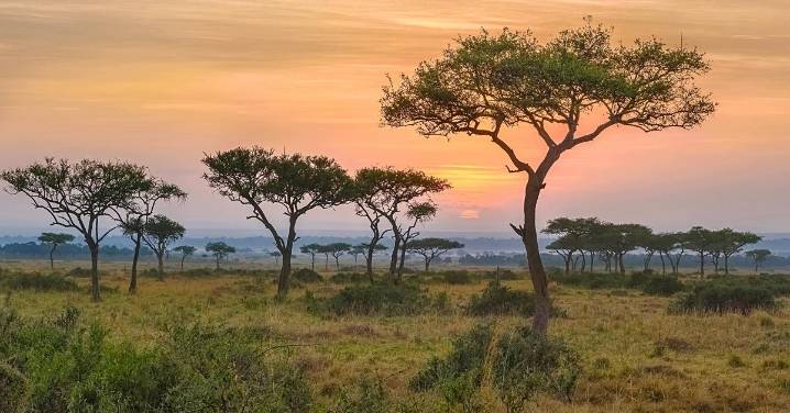 Africa Climate Summit 2025