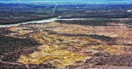 Indignación en Roca: hallaron animales muertos en Paso Córdoba y vecinos piden respuestas