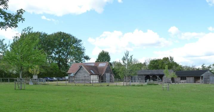 Gloucestershire orchard CAMRA wins award for preserving perry pears