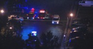 1 killed in shooting at Mill Dam Park in Mount Holly, New Jersey, officials say