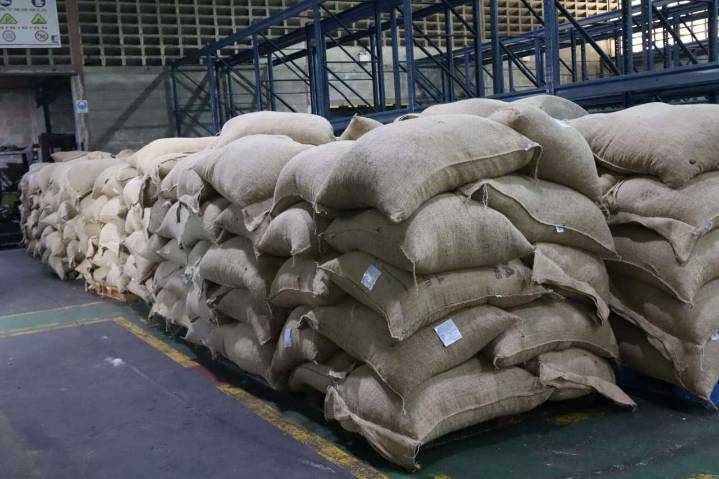Venezuela en 2 meses ha enviado 300 toneladas de cacao a Rusia