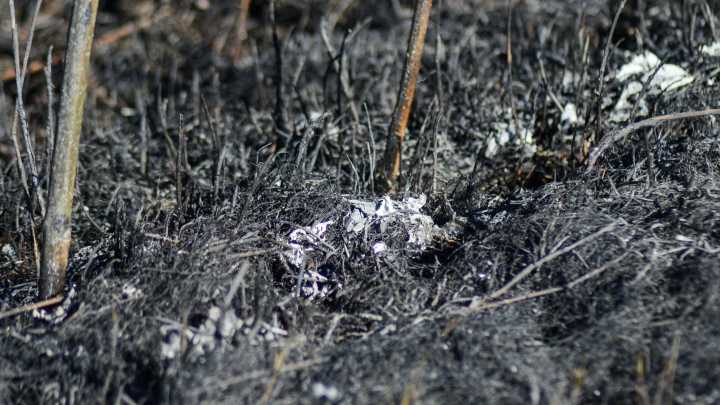 What to know about PBTT fire as state, federal response continues