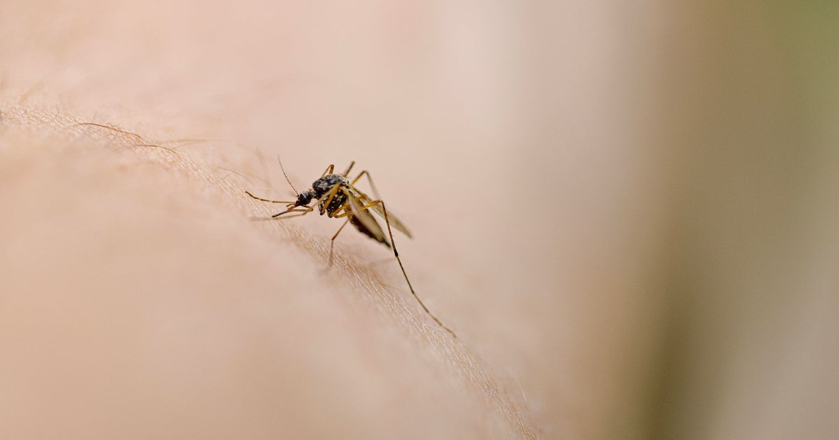 3rd Allegheny County resident diagnosed with West Nile virus