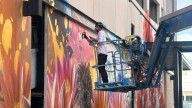 What's the story behind the mural on the downtown Georgetown parking garage?