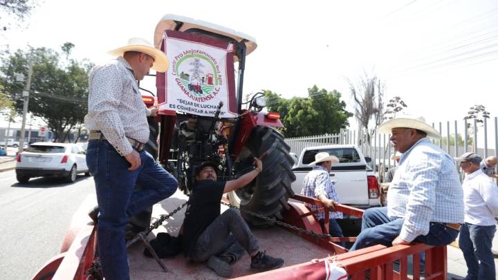 Productores de Trigo en crisis: denuncian que al 28% aún no reciben pago de garantía