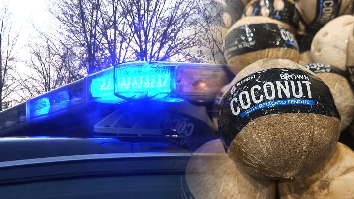 Police called to disarm coconut bomb at WA park
