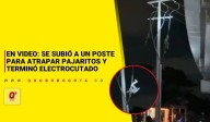 En video: se subió a un poste para atrapar pajaritos y terminó electrocutado