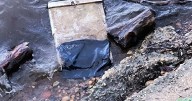 Possible DC plane crash wreckage found by man walking his dog