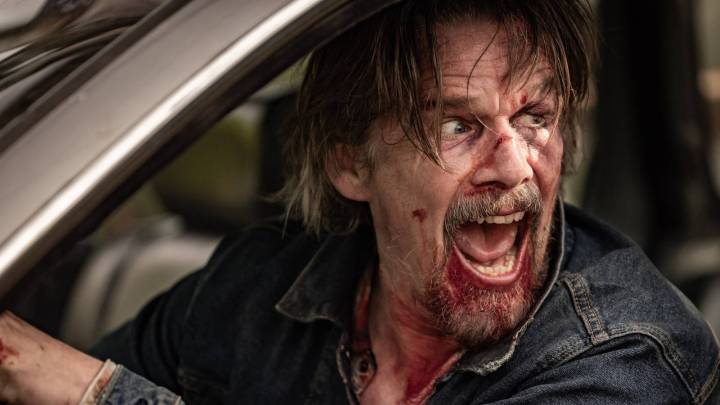 Ethan Hawke's The Lowdown Earns Near-Perfect Rotten Tomatoes Score