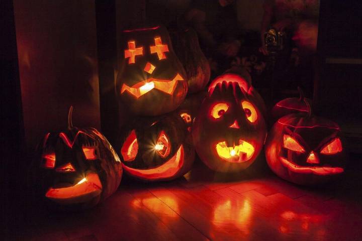 Jack-o-Lanterns Light Up Chicago Botanic Gardens For Halloween