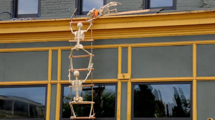 Skeleton decorating competition returning to Grand Haven this October