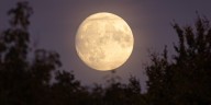 October skywatching: Super Harvest Moon and Draconid and Orionid meteor showers