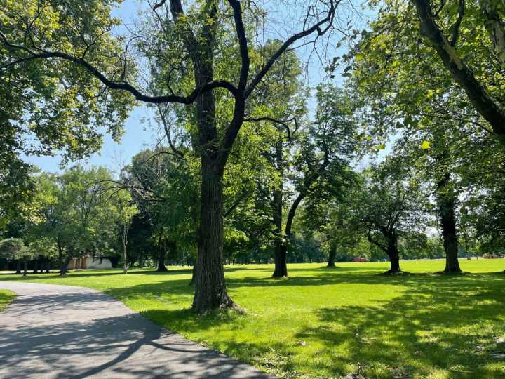 Next phase of renovations starts at Little Flower county park