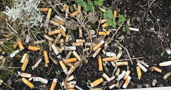 New environmental campaign aims to rid Stirling streets of dumped cigarette butts