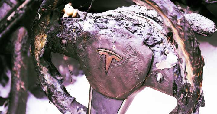 Man and Two Kids Burned Alive in Tesla Crash