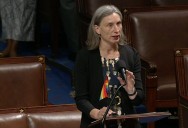 Maxine Dexter's pride flag on House floor draws GOP ire — but she knew why rules allow it
