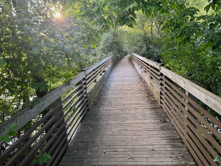 Ann Arbor OKs $108,500 to expand nature area along Huron River