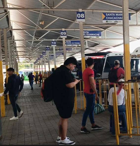 Nueva Esparta | Cooperativa de Transporte Cotoperiz desmiente exclusión de miembros en sistema de huella