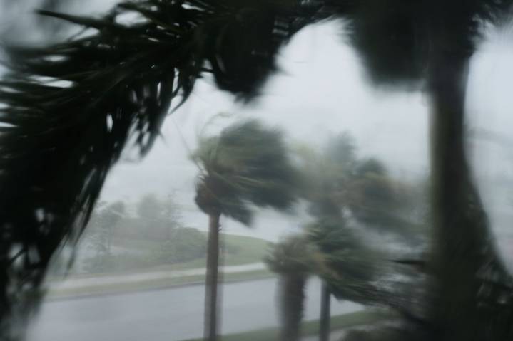 Citizens Insurance seeing fewer lawsuits from South Florida