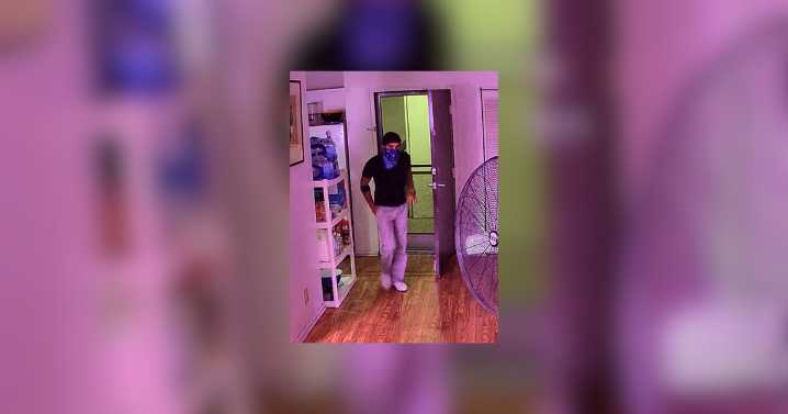 Burglar kills resident's dog during West Hollywood break
