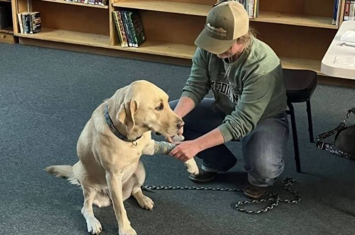Redvers Library hosts Dog First Aid and ‘Bling Your Book’ programs