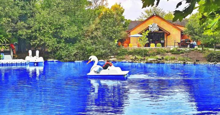 A scenic ride on the pond