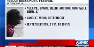 Rescue Rocks music festival to benefit King's Harvest Pet Rescue