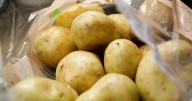 Where to store potatoes to keep them fresh for months without sprouting