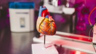 Cada paso cuenta: todo lo que debes saber de los marcapasos del corazón