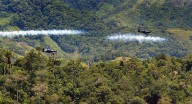 Se preguntan si Petro advierte sobre fumigar coca para evitar descertificación
