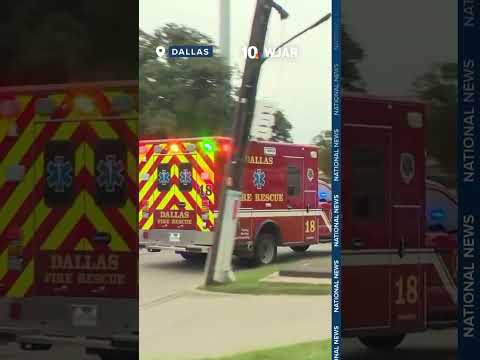 3 people shot at immigration office in Dallas