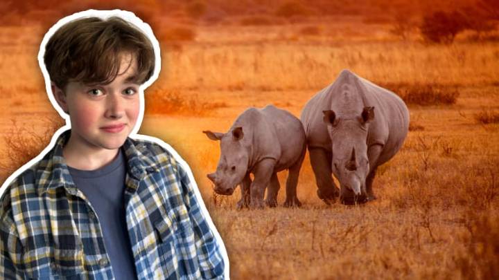 Radioactive rhinos: How nuclear technology is being used to stop poachers