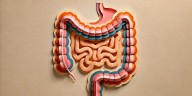 ¿Sabías que el 90% de la serotonina, “la hormona de la felicidad”, se produce en el aparato digestivo?
