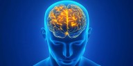 Cómo el cerebro logra imágenes completas aunque cada ojo vea diferente