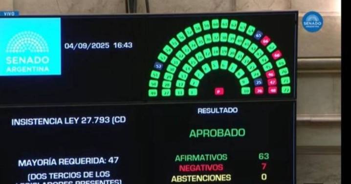 El Senado dejó sin efecto el veto de Milei y quedó firme la ley de emergencia en discapacidad