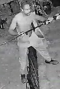 Caught on camera thief steals weed whacker from Silver Spring backyard