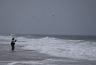 Body found on San Francisco beach ID’d as missing Bay Area man