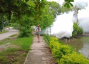 Disminuyen 50% casos de dengue