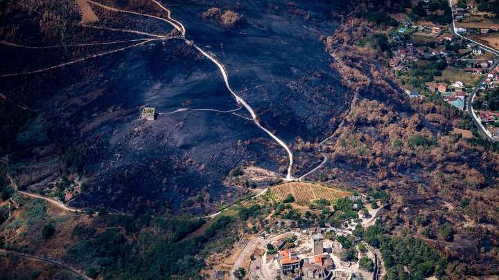 Así han quedado las zonas incendiadas en Ourense, León y Zamora