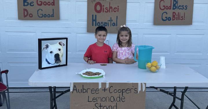 Niagara Falls twins raise $1,500 for SPCA with lemonade stand