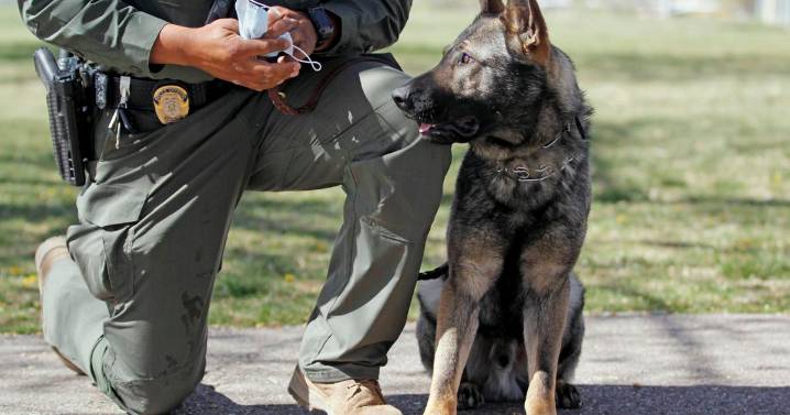 Santa Fe police K9 training under scrutiny as civil suit from officer approaches potential trial
