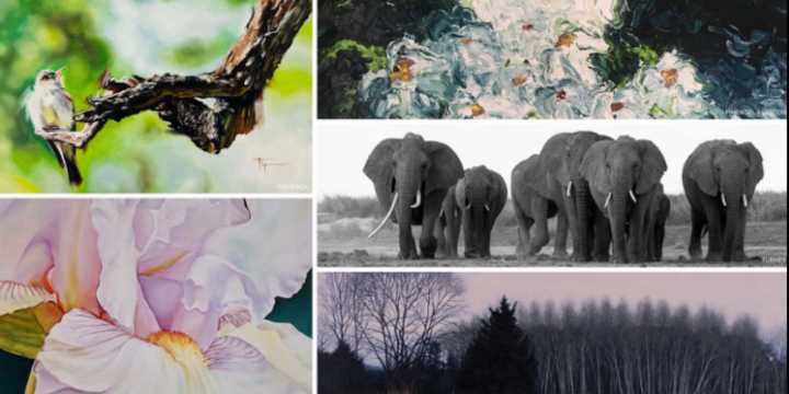 Fall exhibitions now open in Overture Galleries