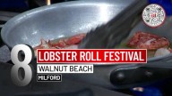 8 Things to Do This Weekend: Guilford Fair, Boat Show and Garlic Festival
