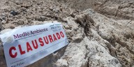 Remueven casi 3 hectáreas de vegetación en Cuencamé, clausuran el predio por daño ambiental