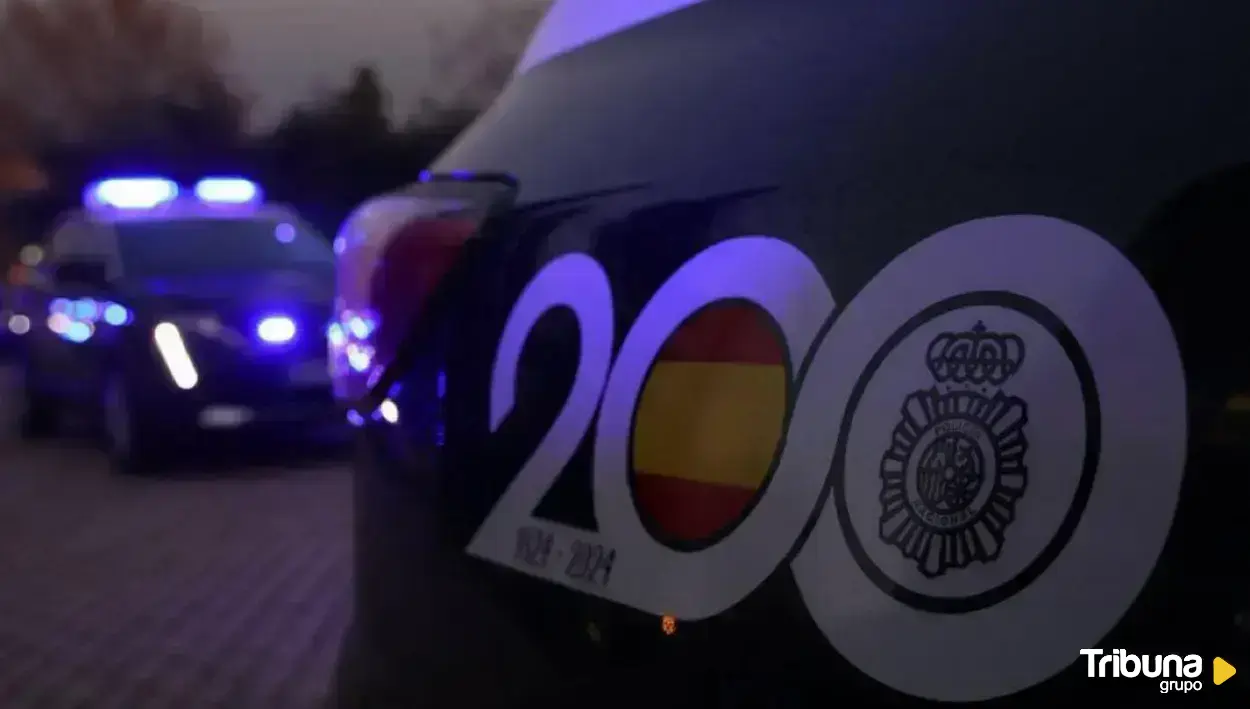 Cuatro detenidos por llevarse a un menor de casa y agredir a su madre en Armunia