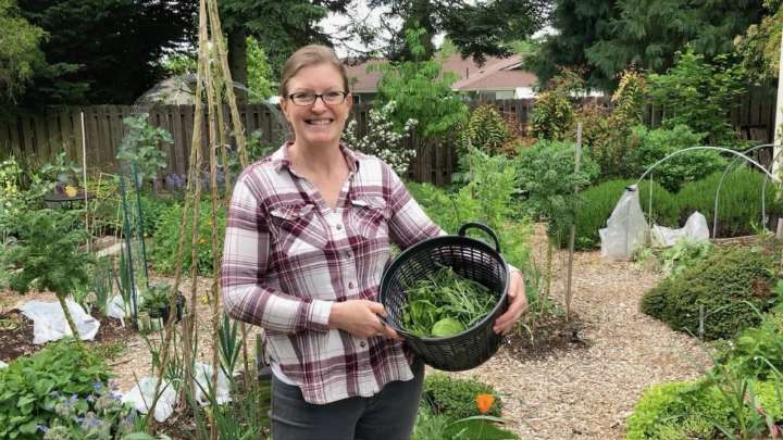 Seed saving workshop at Lynnwood Library Sept. 13