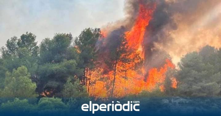 El incendio forestal de Oliva queda estabilizado tras una noche de intensa lucha contra las llamas