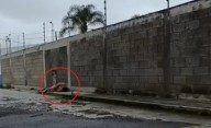 Hombre semidesnudo es hallado tras presunto asalto en San Lorenzo Almecatla