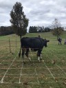 Minisink Fall Farm Festival set for October 4th