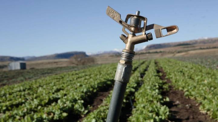 La huella hídrica de las exportaciones agrícolas duplica al consumo de los hogares españoles en 2024